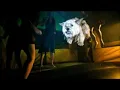 Yeasayer  O.N.E Project X The Real Soundtrack)