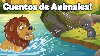 Cuentos de Animales Para Niños: El León y el Ratón, Bebé Elefante, La Cigarra 🦁🐜🐘