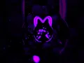 Download Lagu Vapo no setor (SUPER SLOWED)