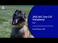 2025 AKC Fast CAT Invitational Day 2
