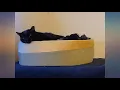 Bedsure Faux Fur Throw Blanket for Couch - Black Fuzzy Plush Fluffy Soft Sherpa review