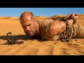 TRANSPORTER 6 MEJOR PELICULAS DE ACCION Pelicula Completa en Espanol Latino