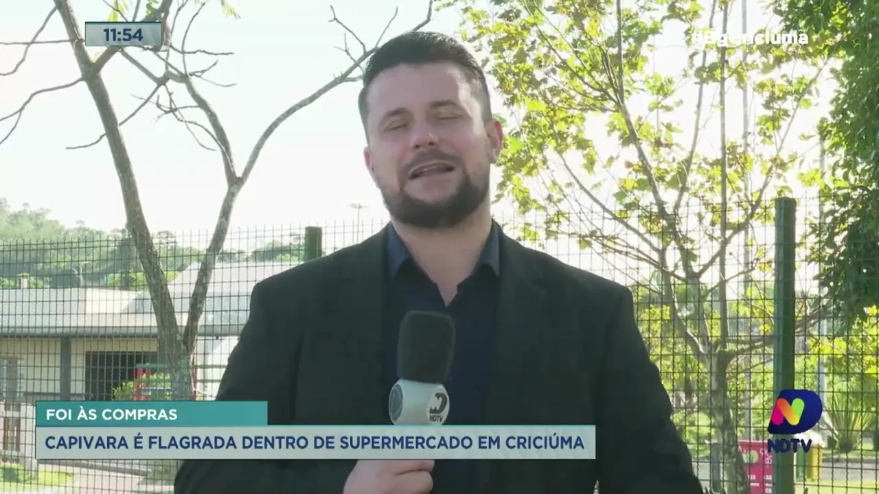 Cliente inusitada: Capivara rouba a cena em um supermercado em Criciúma