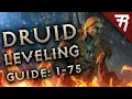 Druid Leveling Build Guide Diablo 2 Resurrected 2 4 Ladder