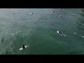 Drone - Surfing