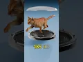 Download Lagu Sound Lifting Ant vs Sound Lifting Godzilla