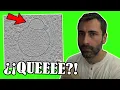 Download Lagu ¡CIENTÍFICOS EN SHOCK! Descubren Algo INCREÍBLE Oculto en NUESTRAS CÉLULAS