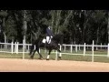 Download Lagu HEERLIJK Kroon Mare 2002 KFPS Friesian Download Lagu HEERLIJK Kroon Mare 2002 KFPS Friesian