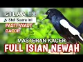 Download Lagu 🔴GILA ⁉️ - MASTERAN KACER GACOR FULL ISIAN !! - Suara Burung Kacer yang cocok untuk Latihan ‼️