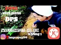 (DPS)WeirdGenius TPY