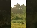 Download Lagu https://youtu.be/6CgINNm-zyE?si=nikZPHyBXiW2rPiY