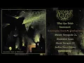 Download Lagu HEXROT - Formless Ruin of Oblivion FULL ALBUM STREAM (Avantgarde Death/Black) Transcending Obscurity