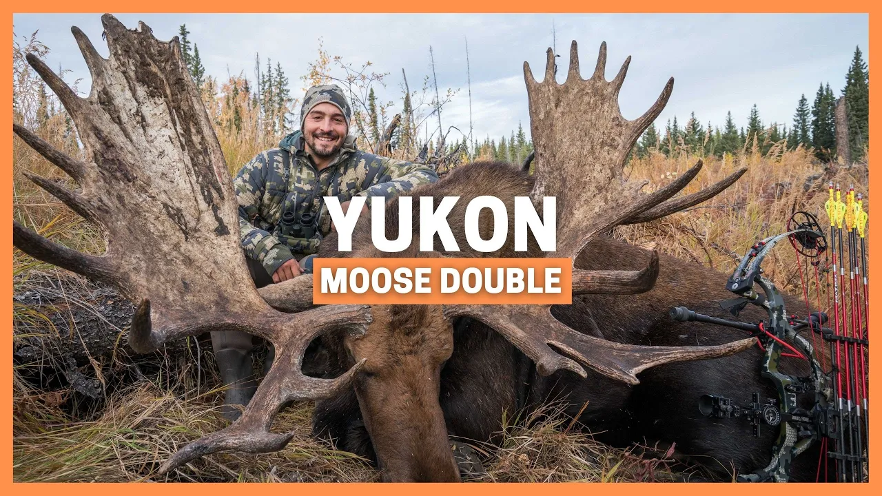 Dad and I Double Down on a Monster Moose at 20 yards! 🤯 Bowhunting Adventure in Yukon!