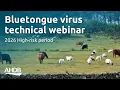 Bluetongue virus update High-risk period A B Webinar