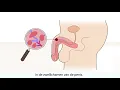 Download Lagu Het mannelijk orgasme uitgelegd!