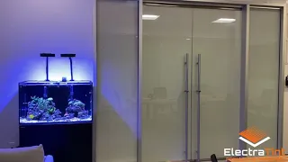 Petco Corporate Office