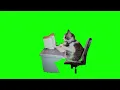green screen cat typing meme