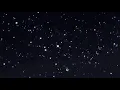 JPDREAMTHUG - STARDUST FT. LIL SONY