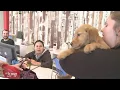 Emancipet provides affordable veterinary care