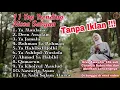Download Lagu FULL ALBUM NISSA SABYAN TERBARU 2018   YA MAULANA