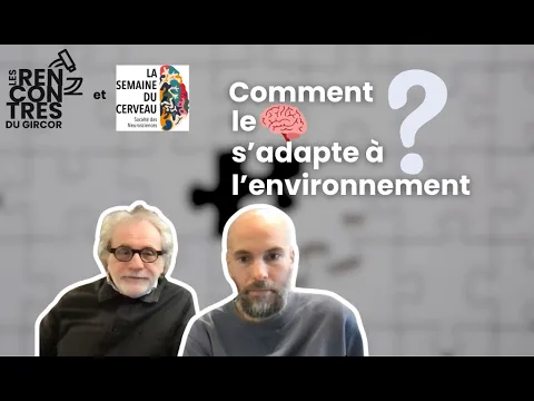 "Comment le cerveau s'adapte à l'environnement" - Les rencontres du Gircor