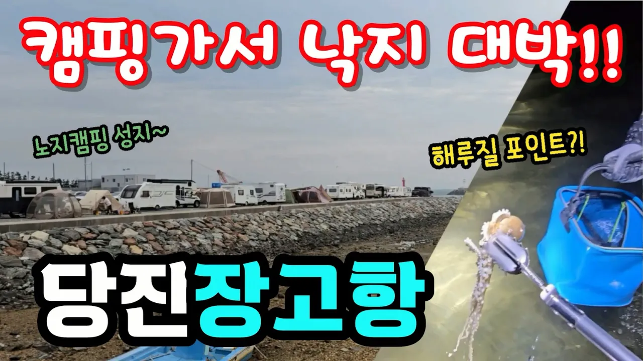노지캠핑과 해루질을 같이 할 수 있는 당진장고항! 가을 유영낙지 해루질 대박입니다. サムネイル