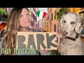 BARK BOX UNBOXING LARGE DOG ITALY PLAYCATION