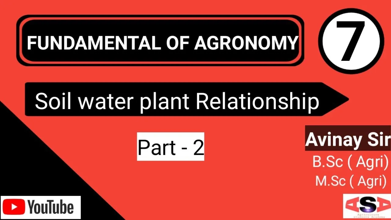 soil, plant, water relationship