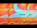strangely sentimental - Anabel Englund ( pinksky house remix )