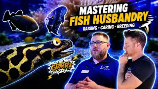 Absolutely Blown Away by All the Stunning Fishes at Absolutely Fish Aquarium Store Tour