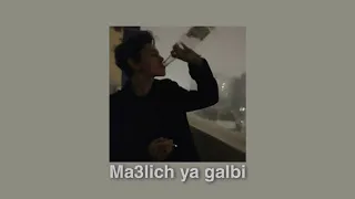 معليش يا قلبي Malgré Artist O Chbab Slowed Reverb 