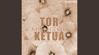 tor monitor ketua dj neon rmx mix 