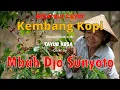 Download Lagu Kembang Kopi Koplo - Mbah Djo Sunyoto (live performance \u0026 terjemahan) #coverlagu #coverkoplo