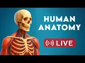 Inside Us Live Human Anatomy Organ Systems