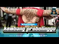 Download Lagu dj bantengan kembang probolinggo