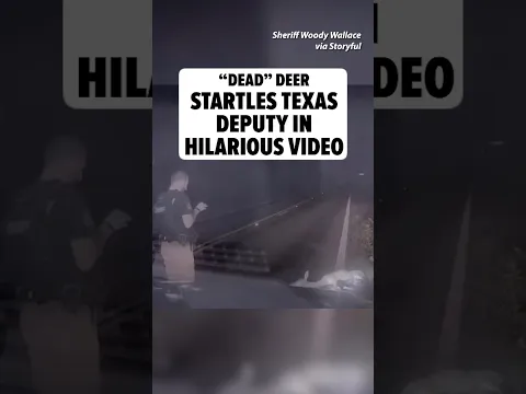 "Dead” Deer Startles Texas Deputy in Hilarious Video