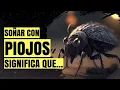Meaning of Dreaming About Lice - Interpretation and Meaning of Dreams