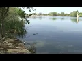 61-year-old woman s body found floating in Woodlawn Lake Park medical examiner s office says