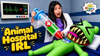 We Try to Spot EVERY Anomaly in Animal Hospital IRL