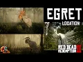 All Egret Locations - Red Dead Redemption 2