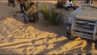 ارجال الترابين في سيناء 