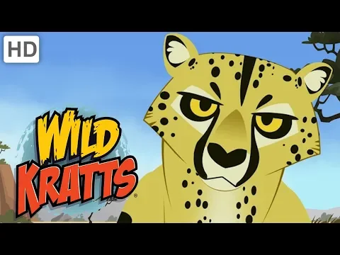 Wild Kratts Cool Cats Kids s