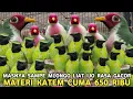 Download Lagu EDAN !! CAK IJO JTN RASA GACOR MATERI KATEM CUMA 650 RIBU DI PASAR BURUNG PRAMUKA