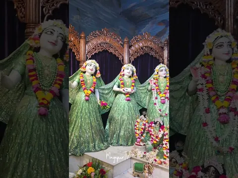 Today's Darshan of Sri Sri Radhamadhava