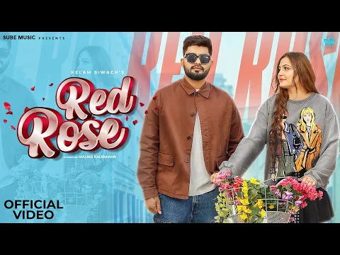 Download MP3 Red Rose (Official Video) | Malika Kaliraman | Kelam Siwach | Latest Haryanvi Songs 2024