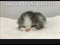eepy sleepy