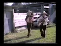 Los Cadetes De Linares - El Palomito (Video Oficial)