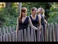 Download Lagu Punica granatum #7 D'ung aultre amer — Psallentes