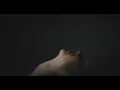 Download Lagu Sia - Pin Drop (Official Video)