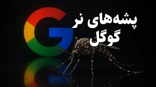 پشه های نر گوگل دندنها